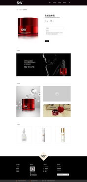 從像素到體驗 網(wǎng)頁與網(wǎng)站設(shè)計的藝術(shù)與技術(shù)融合